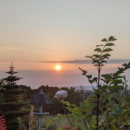 Hafoty Farm Cottages 카나번 외부 사진